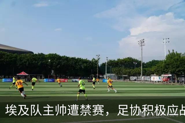 埃及队主帅遭禁赛，足协积极应战